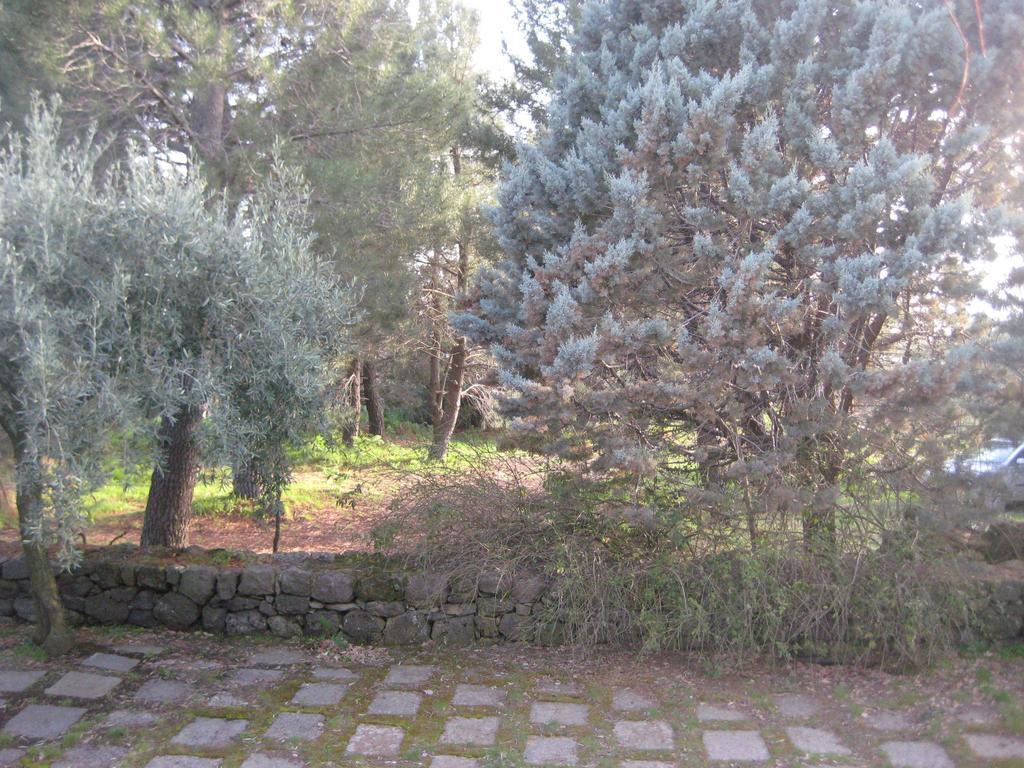La Casa Del Cavaliere Βίλα Santa Maria di Licodia Δωμάτιο φωτογραφία