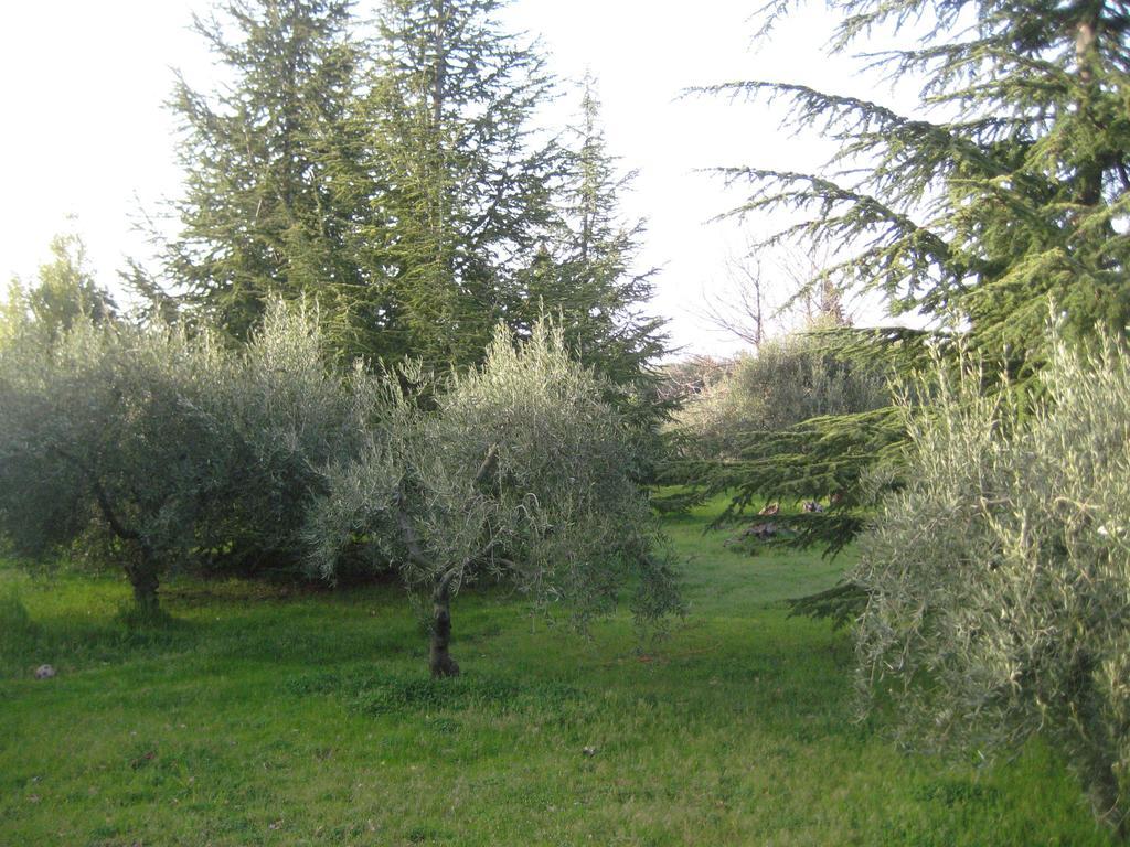 La Casa Del Cavaliere Βίλα Santa Maria di Licodia Δωμάτιο φωτογραφία