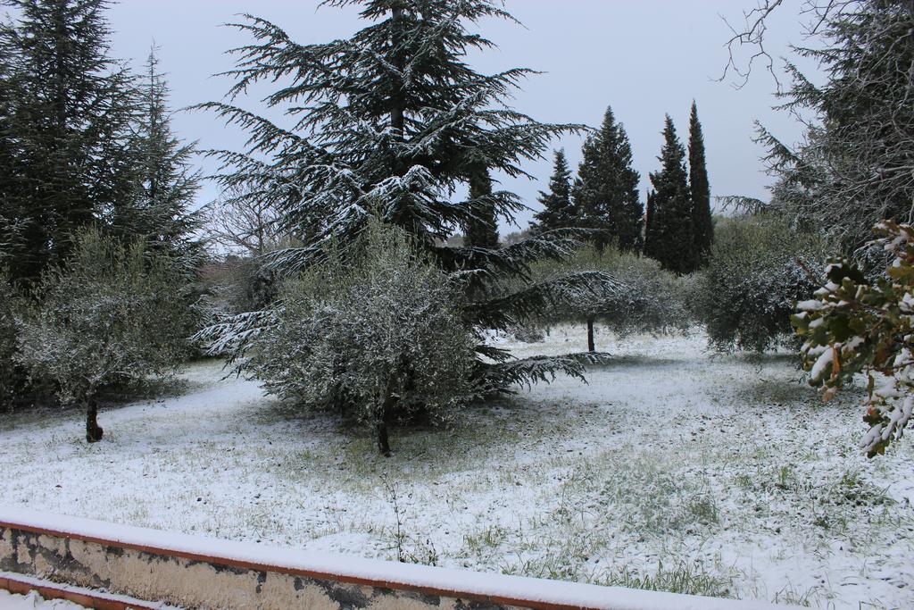 La Casa Del Cavaliere Βίλα Santa Maria di Licodia Εξωτερικό φωτογραφία